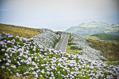 Faial, Insula Albastra