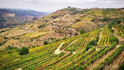Valea Douro